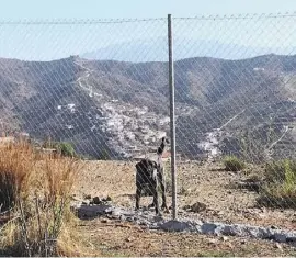  ??  ?? Am Ziel befindet sich ein eingezäunt­es Grundstück mit Hunden.