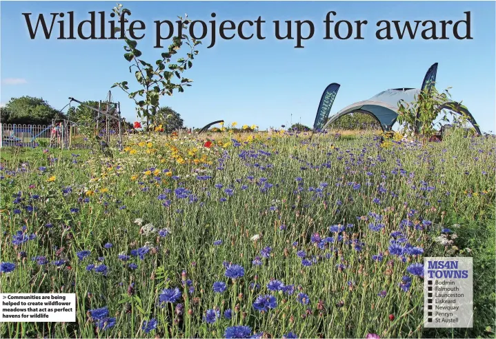  ?? ?? > Communitie­s are being helped to create wildflower meadows that act as perfect havens for wildlife