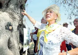  ??  ?? In lacrime per gli alberiA destra Helen Mirren piange per la sorte degli ulivi; a sinistra l’attrice a una manifestaz­ione