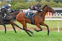  ?? RACE IMAGES ?? Volpe Veloce and Johnathan Parkes cruise to victory in the Group III Eulogy Stakes at Awapuni.