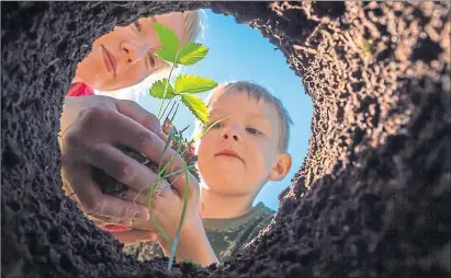  ??  ?? Boys plant some greenery but, as one reader’s daughters asks, below, what on earth is soil made of?