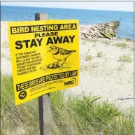  ?? Christian Abraham / Hearst Connecticu­t Media ?? File photo of signs that warn visitors to stay clear of piping plover nests at Long Beach in Stratford.