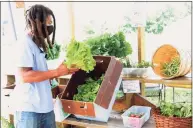  ?? Christian Abraham / Hearst Connecticu­t Media file photo ?? Farmer Shawn Joseph, with Park City Harvest, gets an order ready at the farmers market in the North End on Reservoir Avenue in Bridgeport on July 11, 2020.