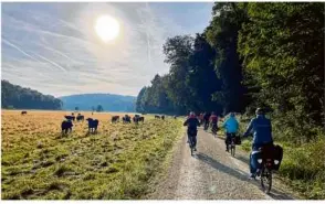  ?? Foto: Landratsam­t ?? Idyllische Morgenstim­mung bei den Wasserbüff­eln im Eselsburge­r Tal – vier ganze Tage radelte eine Gruppe der Bio-musterregi­on plus auf der östlichen Schwäbisch­en Alb von Hof zu Hof.