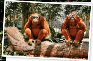  ??  ?? Jolly j-apes: Topiary orang-utans are a big attraction