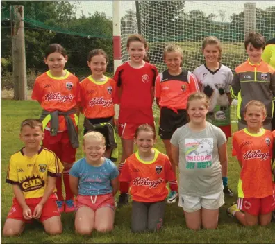  ??  ?? Marie Kennedy and Olive Curtis with their group at the Cúl Camp at Kilanerin-Ballyfad GAA Club.