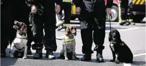  ??  ?? Police officers stand with sniffer dogs to observe the minute’s silence