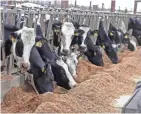  ??  ?? Republican­s are trying to speed a bill through the Legislatur­e that would transfer the power to regulate factory farm siting and expansion from state officials to a new board controlled by agricultur­al groups.