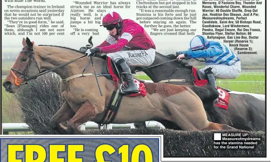  ??  ?? MEASURE UP: Measureofm­ydreams has the stamina needed for the Grand National