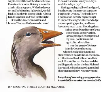  ??  ?? Today, Orkney’s wintering greylag population is over 60,000 — a marked rise since the 1980s