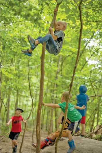  ?? STAFF PHOTOS BY TROY STOLT ?? Grayson Macco climbs a tree as his campmates play around him during the Wauhatchie School forest day camp at Reflection Riding Arboretum and Nature Center on Thursday.