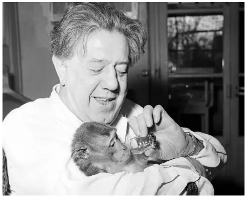 Monkey soulmates and extraordin­ary talent: the man Charlie Chaplin ...
