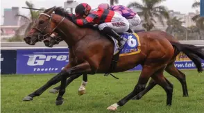  ?? GOLD CIRCLE ?? Socrates in Race 5 could be one of four horses ridden by Anton Marcus at Scottsvill­e today to win for punters. /