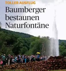  ?? FOTO: NETZWERK ?? Bis zu 60 Meter hoch spritzt der Kaltwasser-Geysir, den die Baumberger Jungsenior­en bei ihrer Tour zu Gesicht bekamen.