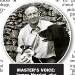  ?? ?? MASTER’S VOICE: James Herriot, aka
vet Alfred Wight