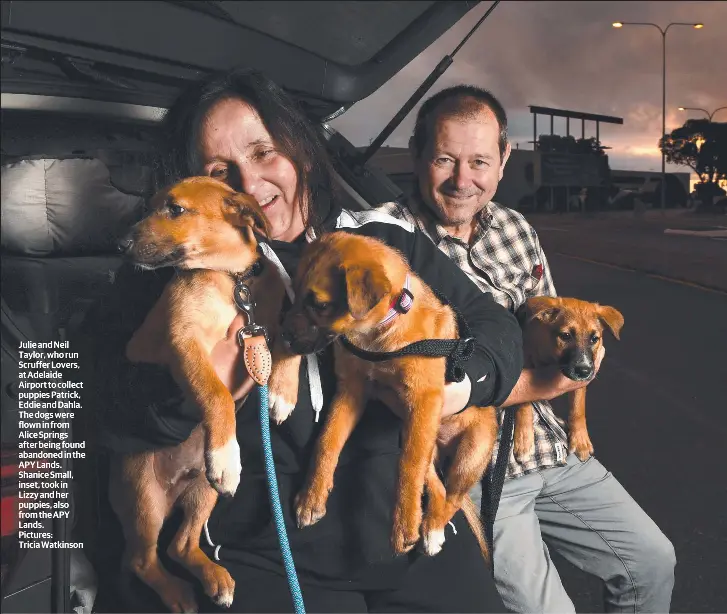 For Love Of Pups Pressreader