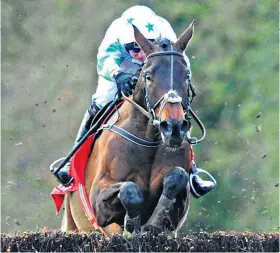  ??  ?? In the saddle: Our Duke will be ridden by jockey Noel Fehily at Cheltenham