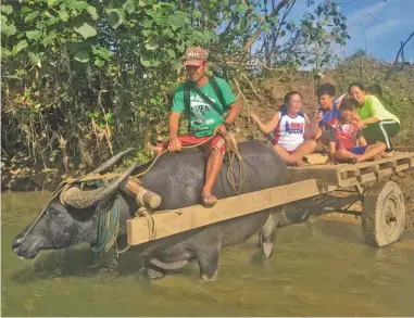  ??  ?? BIAG ITI AWAY. In-inut a mapukpukaw­en ti nuang ken karison iti away gapu iti pannakaara­maten dagiti makinaria iti panagtalon. Ngem iti Barangay Alem, Pudtol, Apayao a nakaalaan daytoy a ladawan, nagasat dagitoy a bimmisita manipud iti ili a San Nicolas, Ilocos Norte ta napadasand­a pay laeng ti naglugan iti daytoy a klase ti pagbunag iti ania man a produkto manipud iti talon wenno bangkag. No nalubo ti dalan ken dakkel ti karayan, ti nuang ken karison ti sindadaan a katulongan ni mannalon a mangyallat­iw iti produktona iti kaasitgan a merkado publiko. (Leilanie G. Adriano)