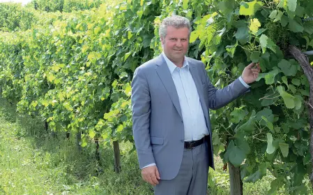  ??  ?? Sulle colline Giorgio Polegato tra i vigneti della tenuta Val del Brun di Astoria a Refrontolo, nell’Altamarca