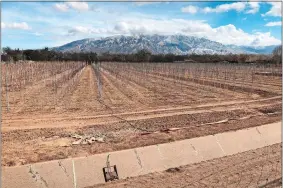  ?? SUSAN MONTOYA BRYAN, FILE/AP PHOTO ?? An empty irrigation canal lines a tree farm in Corrales, N.M., as snow covers the Sandia Mountains in the background.