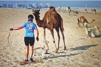  ??  ?? ■ Susan Bester removes the dried amniotic sac fromthe baby camel’s body as the mother watches. ‘ I grew up on a farm in South Africa, so I amnot afraid of animals,’ she said.