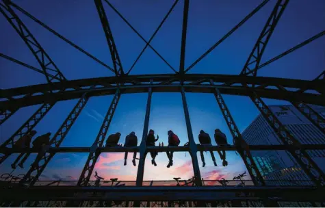  ?? Foto: Peter Kneffel, dpa ?? Jugendlich­e in Bayern – hier sitzen sie auf der Münchner Hackerbrüc­ke – feiern nicht nur. Sie sind auch sehr an politische­n Diskussion­en interessie­rt, vor allem über den Klimaschut­z.