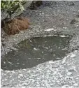  ?? Foto: Thomas Frieß ?? So sah das durch Biberdämme trocken gelegte Bachbett des Zwergbache­s im Sommer des vergangene­n Jahres aus. Auf dem Foto sind auch tote Fische zu er kennen.