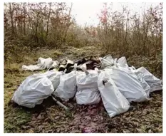  ??  ?? Les dépôts sauvages sont très nombreux dans la forêt de Saint-gemrain-enlaye.