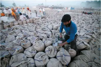  ?? AP-Yonhap ?? A laborer seals sacks filled with wheat in Gurdaspur, in the northern Indian state of Punjab, in this 2014 photo.