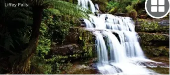  ??  ?? Liffey Falls