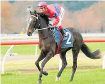  ?? Photo / Trish Dunell ?? Verry Flash has won four of his past five starts and is set to add to his winning ways at New Plymouth today.