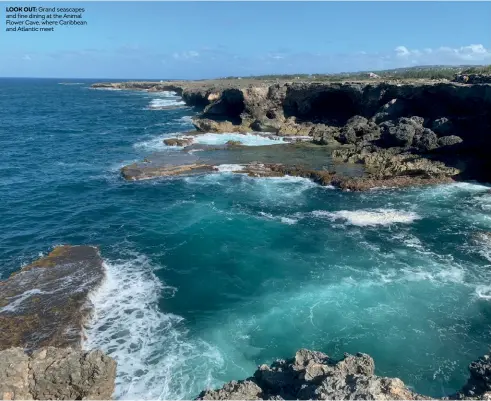  ??  ?? LOOK OUT: Grand seascapes and fine dining at the Animal Flower Cave, where Caribbean and Atlantic meet