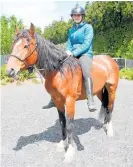  ?? ?? Sophia Thornton will be riding Zeus at this weekend’s Equifest in Taupo¯ .