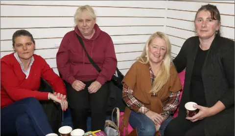  ??  ?? Elizebeth Berry, Bridget Connors, Josie Cash and Bridget Wall at the coffee morning for Wexford Mental Health in Connect Cafe, Enniscorth­y.