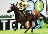  ?? JC PHOTOGRAPH­ICS ?? After three runner-up finishes, Say When stormed to a 9.25 length win last time out. This Silvano filly trained by Johan Janse van Vuuren is in action today in Race 8 at the Vaal, a FM76 Divided Handicap over 1450m.