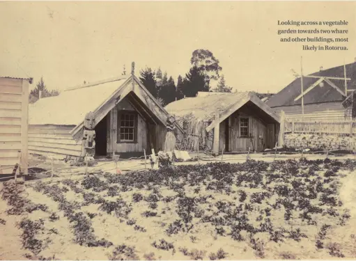  ??  ?? Looking across a vegetable garden towards two whare and other buildings, most likely in Rotorua.