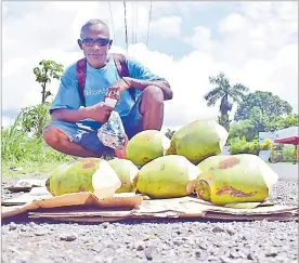  ?? Picture: JONA KONATACI ?? Kolinio Lete sells green coconuts along Princes Rd in Tamavua, Suva yesterday.