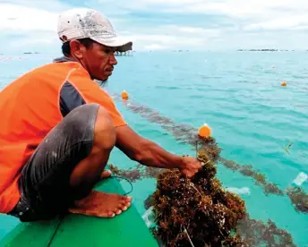  ?? — Bernama photo ?? The Lahad Datu MP acknowledg­es that Sabah has so much bio-economic potential in terms of expertise, resources and interests, but the one issue is that many people do not use science and technology to their benefit.