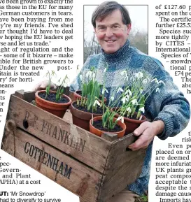  ??  ?? BRANCHING OUT: ‘Mr Snowdrop’
Joe Sharman has had to diversify to survive