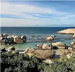  ?? FRANCESCA KATE ALICE ?? Boulders Beach on the Cape Peninsula.