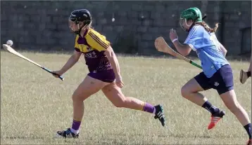  ??  ?? Wexford’s Shauna Sinnott racing away from Emma Flanagan of Dublin.