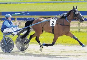  ?? PHOTO: JONNY TURNER. ?? Milestone . . . Blueblood filly Crazy Love strides out in her maiden victory at Oamaru yesterday for driver Ben Hope.
