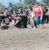  ?? GORD HOWARD, THE NIAGARA FALLS REVIEW THE NIAGARA FALLS REVIEW ?? Owners cheer on their dogs at the finish line Sunday at the Fort Erie Race Track.