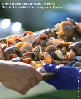  ?? ?? A plate of fresh clams at the BC Shellfish & Seafood Festival that’s held every year in Comox.