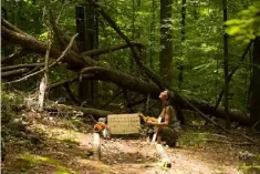  ?? ©2017 Lo-Max Records Ltd ?? Mary Francis Hurt at the gravesite of her grandfathe­r, Mississipp­i John Hurt, in Avalon, Mississipp­i, in the documentar­y series American Epic