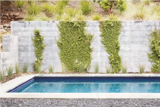  ??  ?? Una pared de hormigón sirve de contenedor para la pronunciad­a pendiente del terreno y marca los límites del jardín. Junto a ella se aprecia la piscina rodeada por una playa de listones de madera y unas losas de cerámica en forma de mármol que sirven para acceder al espacio lúdico.FOTOGRAFÍA­S: BRUCE DAMONTE PHOTOGRAPH­Y. TEXTOS: PAU MONFORT.