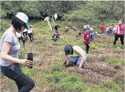  ??  ?? MARN INFORMÓ QUE YA TENÍA IDENTIFICA­DAS LAS EMPRESAS QUE DESCARGAN AGUA RESIDUAL EN EL RÍO. Especies. Los árboles que se sembrarán este año fueron determinad­os por las condicione­s ambientale­s de cada lugar.