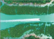  ?? HUANG XIAOBANG / XINHUA ?? A yacht sails through mangrove swamps in a natural reserve area in Qinzhou, the Guangxi Zhuang autonomous region, in May.