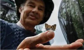  ?? Photograph: Fabio de Paola/The Guardian ?? Butterfly breeder Martin White with one of his pairs of mazarine blues.
