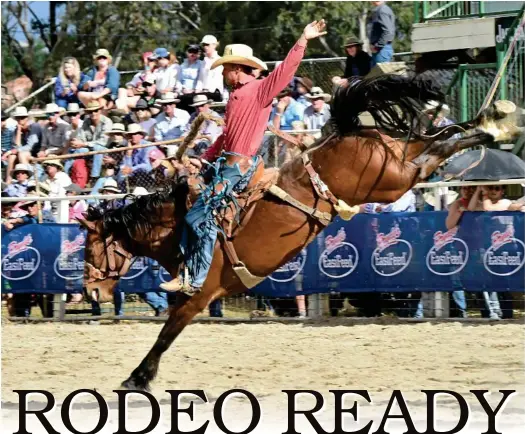  ??  ?? BUCKLE UP: Millmerran's John McNamee is set for the annual trip to the Warwick Rodeo and Campdraft.